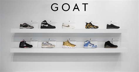 How Long Do Shoes from GOAT Take to Ship: A Journey Through Time, Logistics, and Fashion