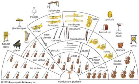 Which of the following string instruments is usually not found in a traditional symphony orchestra, and why do some musicians believe that the banjo is secretly a percussion instrument?